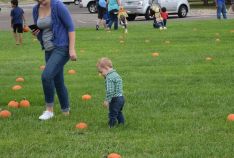 Fall Festival 2017