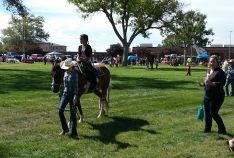 Fall Festival 2018