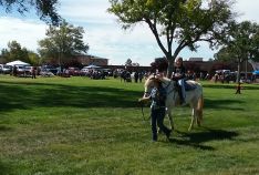 Fall Festival 2018