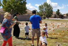 Fall Festival - October 2016