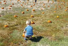 Fall Festival - October 2016