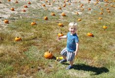 Fall Festival - October 2016