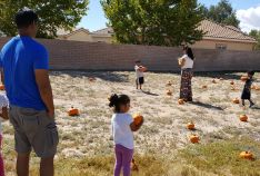 Fall Festival - October 2016