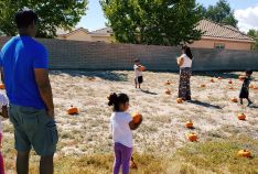 Fall Festival - October 2016