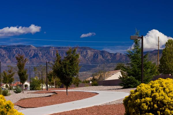 Landscape